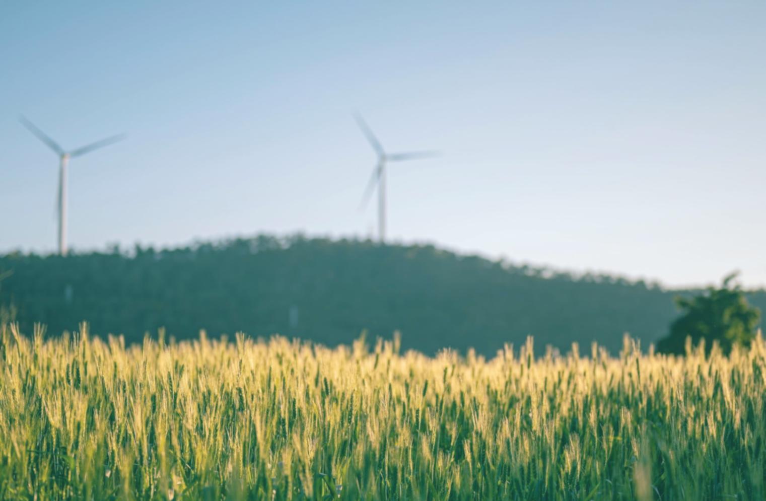 Online-Kurs zu fossilen Energieträgern bei Thravolux